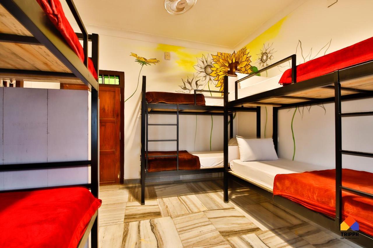 Trippr Alleppey - Backpacker Hostel Alappuzha Esterno foto